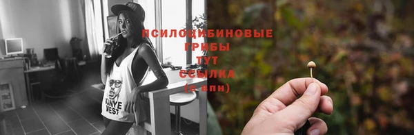 первитин Абаза